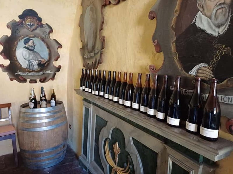 Milan: Brescia & Franciacorta with Wine Tasting Small Group - Price and value: does $214.11 make sense?