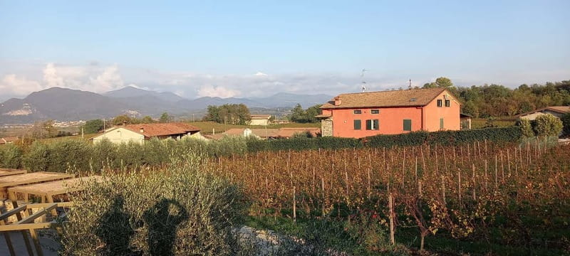 Milan: Brescia & Franciacorta with Wine Tasting Small Group - Weather, shoes, and who this trip fits best