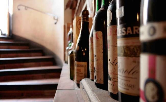 Milan Wine Tasting Experience - Montepulciano d’Abruzzo with Vegetables or Meat Pie