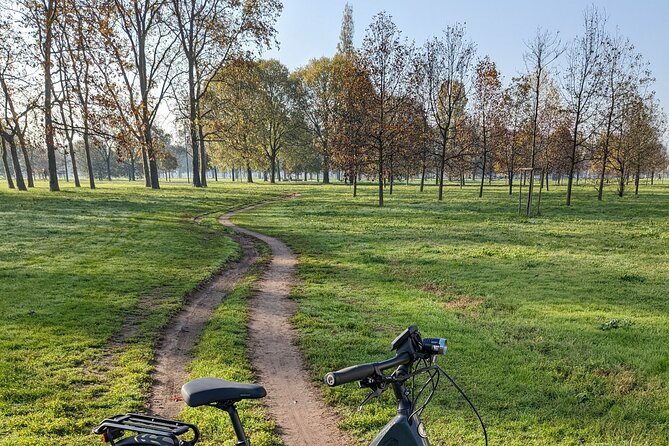 Milano e l'acqua. Tour dei parchi milanesi - Parco delle Cave: lakes, animals, and a park that feels different