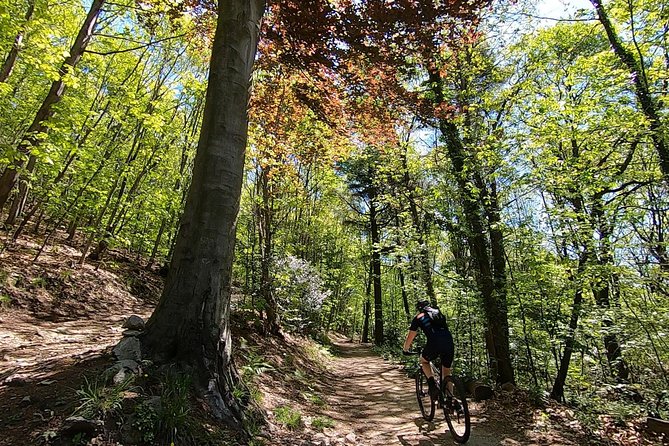 Mountain Bike tour in Spina Verde natural park - Key highlights worth knowing