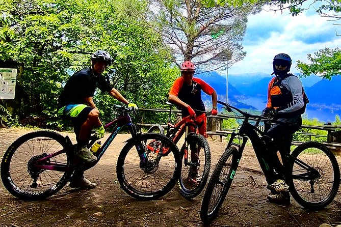Mountain Bike tour in Spina Verde natural park - Merlot vineyards and rolling riding: how the Switzerland portion feels