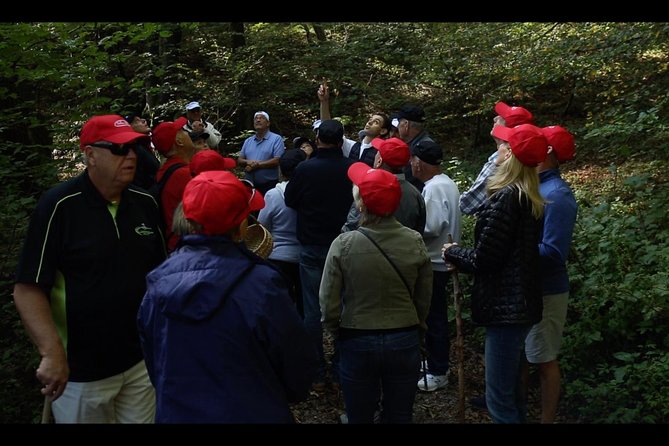 Mushroom or Truffle Hunting - Why truffle hunting near Bellagio feels more real than you expect