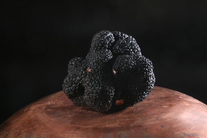 Mushroom or Truffle Hunting - What you’ll learn while you pick: truffles, mushrooms, and Lake Como know-how