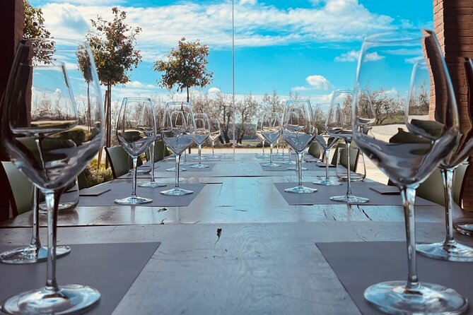 Picnic and Lugana Tour at Perla del Garda winery - Perla del Garda meeting point: where the relaxed start happens