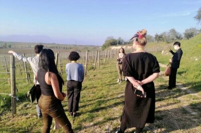 Picnic and Lugana Tour at Perla del Garda winery - The Lugana pairing: PERLEDELLAGO white wine with your meal