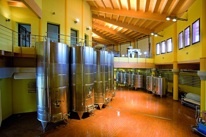 Picnic and Lugana Tour at Perla del Garda winery - Food preferences and allergies: the one thing to plan early
