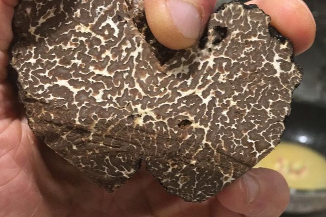 Private Hunting Of Truffle And Mushrooms With Chef Luigi Gandola In Bellagio - Price and value: is $771.36 per person worth it?