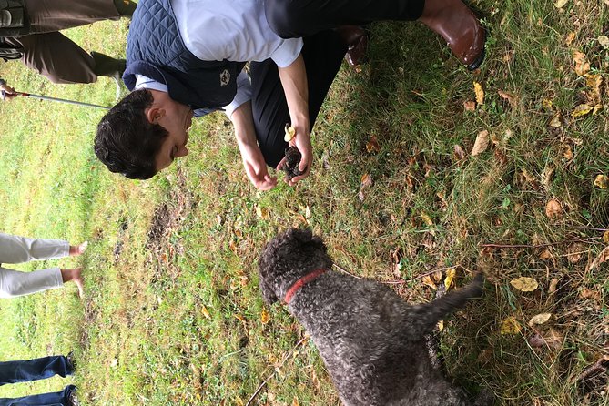 Private Hunting Of Truffle And Mushrooms With Chef Luigi Gandola In Bellagio - Who should book this private hunt (and who should reconsider)