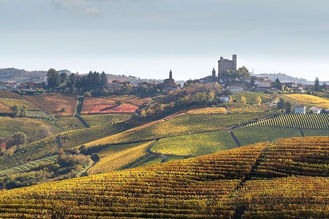 Private Langhe and Barolo Wine Tour from Milan - Who this tour fits best (and who should look elsewhere)