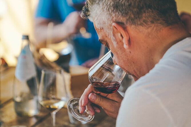 Private Langhe and Barolo Wine Tour from Milan - The 9:00 am meeting point and the rhythm of the day