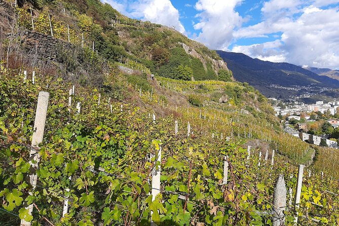 Private Wine Tour: Terraced Vineyards with Alpine view from Milan - A Morning Departing Milan, Plus Lake Como on the Rails