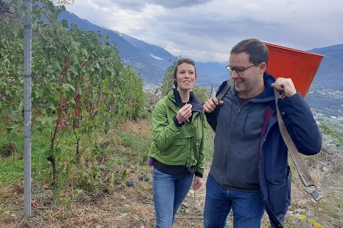 Private Wine Tour: Terraced Vineyards with Alpine view from Milan - First Winery Visit: Tastings, Views, and Luca’s Vineyard Context
