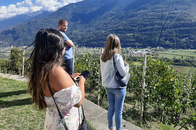 Private Wine Tour: Terraced Vineyards with Alpine view from Milan - Lunch on Your Own: How to Plan for €40–€50