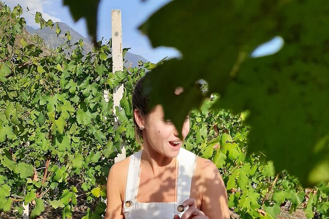 Private Wine Tour: Terraced Vineyards with Alpine view from Milan - Second Winery Visit and the Valley Road Back Toward Lake Como