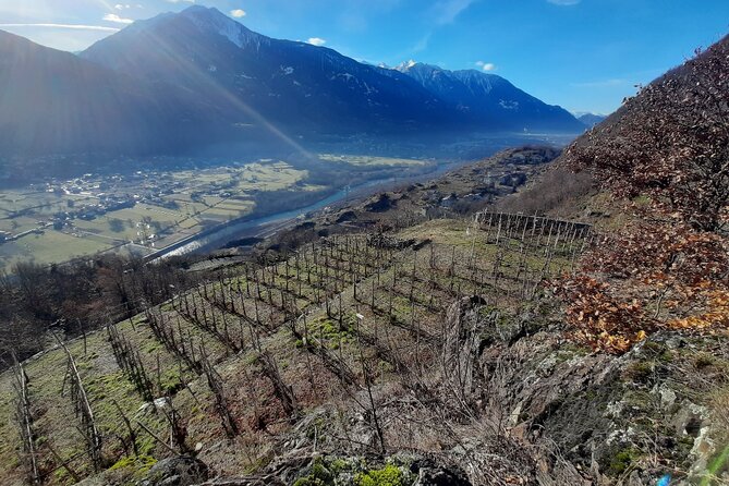 Private Wine Tour: Terraced Vineyards with Alpine view from Milan - Comfort, Timing, and Who Should Book This Day