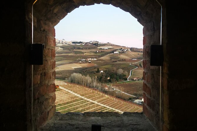 Small-Group Barolo Wine Tasting, Alba & UNESCO Piedmont Hills - Price and logistics: when $216.46 feels fair