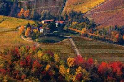 Small-Group Barolo Wine Tasting, Alba & UNESCO Piedmont Hills - Grinzane Cavour Castle (UNESCO) and the La Morra Tuesday swap