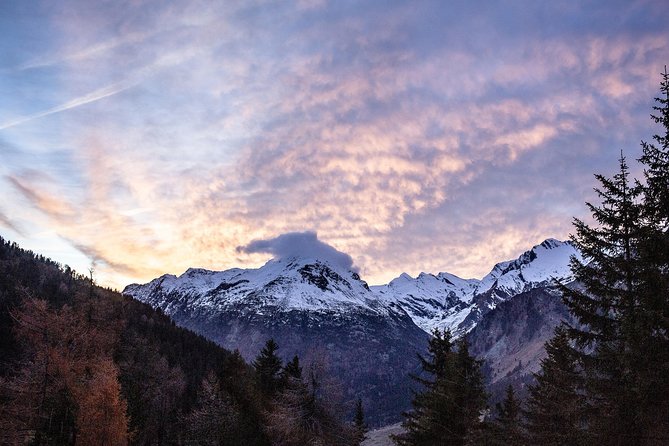 Swiss Alps Bernina Red Train and St.Moritz Tour from Milan - The Bernina Red Train: where the day turns unforgettable