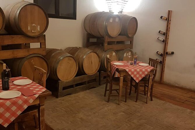 Tasting of 4 Valtenesi wines with local food in Salò - The Cellar Visit: A Before-You-Taste Moment