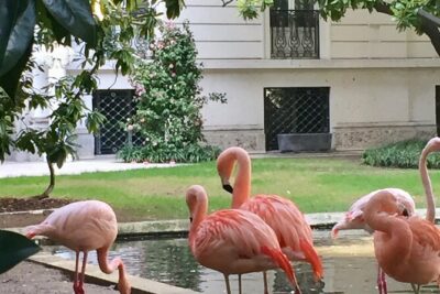 The Secret Milan – An Exclusive Stroll Beyond the Beaten Path - Quadrilatero della Moda (Quad d’Oro): Fashion Quarter, Side-Street Calm