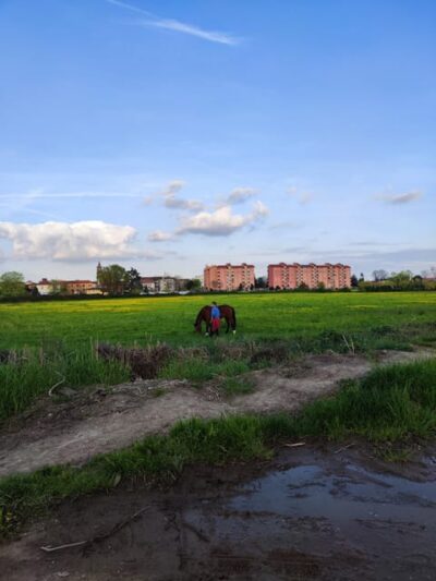 Trekking in the Wood with picnic on the turtles lake - Getting to the start on Via Giorgio de Chirico (and why it matters)