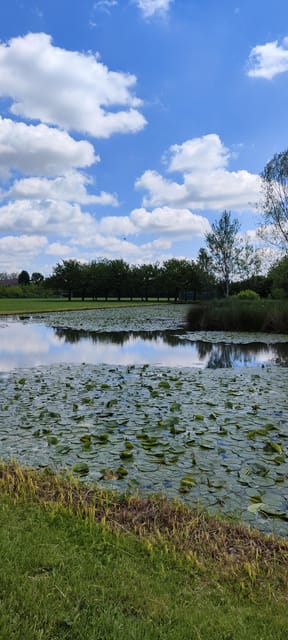 Trekking in the Wood with picnic on the turtles lake - Davide’s guide style and why the group size feels right