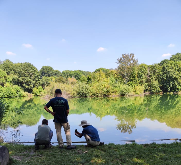 Trekking in the Wood with picnic on the turtles lake - Price and value: what $30.10 gets you in the real world