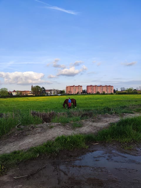 Trekking in the Wood with picnic on the turtles lake - Getting to the start on Via Giorgio de Chirico (and why it matters)
