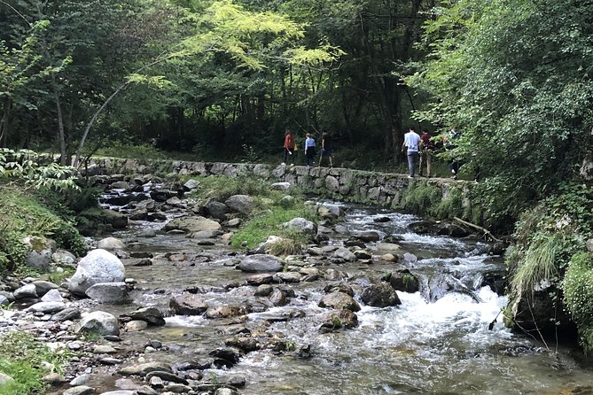 Val Senagra - The Enchanted Valley - Key highlights worth planning for