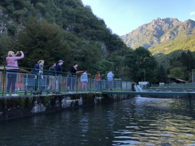 Val Senagra: The Enchanted Valley Tour - Loveno hamlet lanes and lake-view moments you don’t plan on