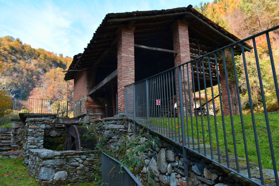 Val Senagra: The Enchanted Valley Tour - Old needle factory to trout and sturgeon farm: the day’s coolest transformation
