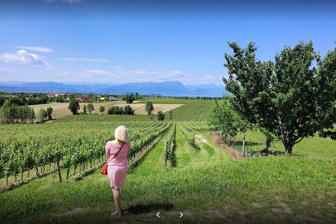 Vineyard Tour and Tasting of Lugana Wines - Key Highlights Worth Booking
