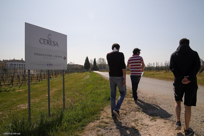 Vineyard Tour and Tasting of Lugana Wines - The Tasting Flight: Four Lugana Wines Plus Snacks