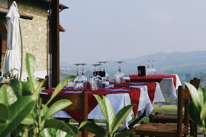 Visit winery and vineyards, tasting 4 wines with 3 matching dishes - Key Highlights You Should Care About