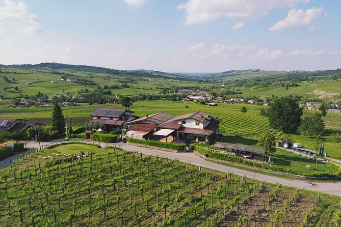 Visit winery and vineyards, tasting 4 wines with 3 matching dishes - Arriving at Calatroni Vini: The 12:00 Start That Sets the Pace