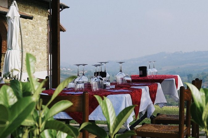 Visit winery and vineyards, tasting 4 wines with 3 matching dishes - Price and Logistics: Why $48.37 Can Be Good Value