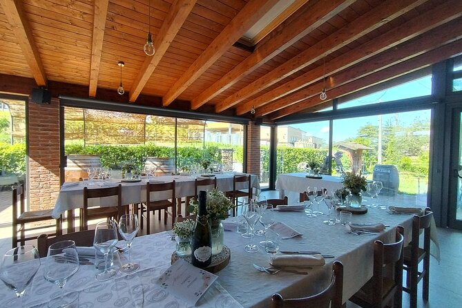 Visit winery and vineyards, tasting 4 wines with 3 matching dishes - Practical Tips for a Smooth 3-Hour Vineyard Visit