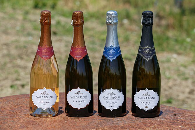 Visit winery and vineyards, tasting 4 wines with 3 matching dishes - Cellar and Aging Cellars: Where the Wine’s Texture Comes From