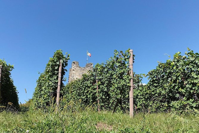 Wine and Food tasting PRIVATE Guided Tour - The value case: private pricing, tastings added on
